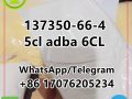 137350-66-4 5cl adba 6CL Free sample c5