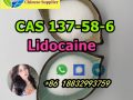 Best price cas 137-58-6 Lidocaine safe delivery Whatsapp: +86 18832993759