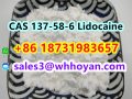 CAS 137-58-6 Lidocaine door to door ship worldwide