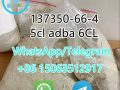 Cas 137350-66-4 5cl adba 6CL	Hot Selling in stock	High qualit	a