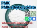 CAS 28578a16a7 PMK ethyl glycidate NEW PMK POWDER