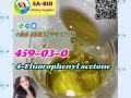 Cas 495-03-0 hot sell 4-Fluorophenylacetone liquid whatsapp: +86 18832993759