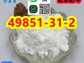 PMK powder or oil CAS 49851-31-2 2-BROMO-1-PHENYL-PENTAN-1-ONE