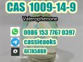 Valerophenone 1009-14-9 support sample orders