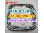 CAS 137-58-6 Lidocaine door to door ship worldwide #1
