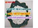 CAS 137-58-6 Lidocaine door to door ship worldwide #2