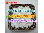 CAS 137-58-6 Lidocaine door to door ship worldwide #3