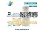 CAS 5337-93-9 BK4 4'-Methylpropiophenone with Best Price #1