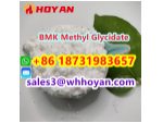 CAS 80532-66-7 BMK Methyl Glycidate powder supplier factory best price #2