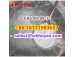 CAS 94-09-7 Benzocaine factory direct supply high purity #2