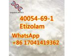 Etizolam 40054-69-1	good price in stock for sale	i4 #1
