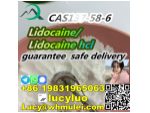 Factory supply Lidocaine cas 137-58-6 #1