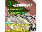 Factory supply Lidocaine cas 137-58-6 #3