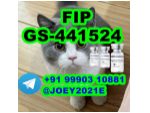 GS-441524 cat Fip Feline Infectious Peritonitis #1