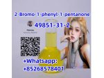 Lowest price 49851-31-2 2-Bromo-1-phenyl-1-pentanone #1
