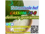 Tetramisole hydrochloride CAS 5086-74-8 #1