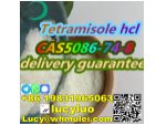 Tetramisole hydrochloride CAS 5086-74-8 #3