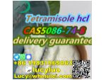 Tetramisole hydrochloride CAS 5086-74-8 #4