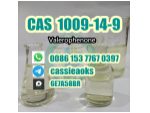 Top Quality CAS 1009-14-9 Valerophenone with Safe Delivery #1