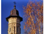 Turnul manastirii - Manastirea Dragomirna #3