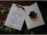 Invitatii si accesorii pentru nunta si botez Sibiu #1