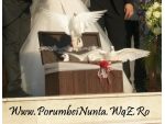 Porumbei pentru nunti constanta #1